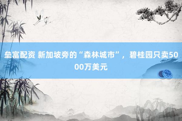 垒富配资 新加坡旁的“森林城市”，碧桂园只卖5000万美元