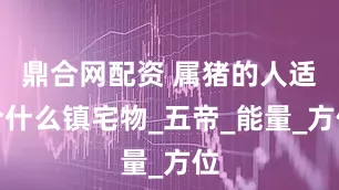 鼎合网配资 属猪的人适合什么镇宅物_五帝_能量_方位