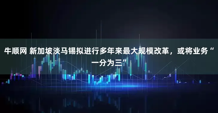 牛顺网 新加坡淡马锡拟进行多年来最大规模改革，或将业务“一分为三”