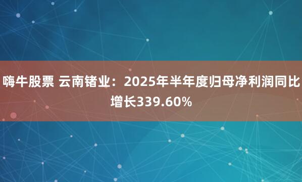 嗨牛股票 云南锗业：2025年半年度归母净利润同比增长339.60%